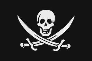 Jack Rackham - Jack Rackham Pirate Flag